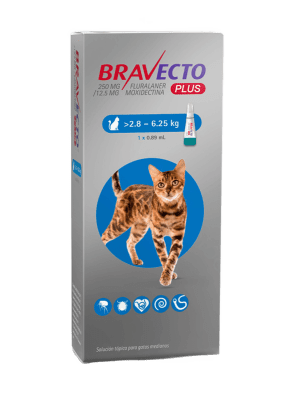 BRAVECTO PLUS GATO 2.8 - 6.25 KG