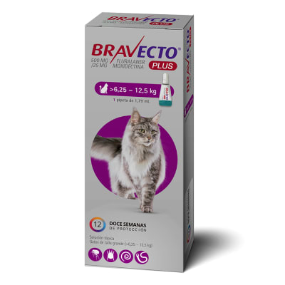 BRAVECTO PLUS GATO 6.25 - 12.5 KG (VENC: MAYO/2026)