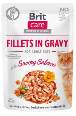 BRIT CARE POUCH FILLETS IN GRAVY ADULTO SALMON 85 GRS