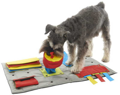 BUSTER ACTIVITY MAT