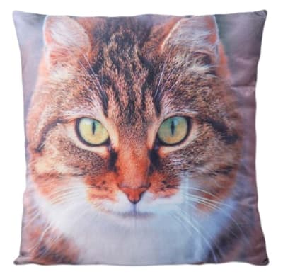 DIB COJIN ANIMALES IMAGEN GATO CALICO