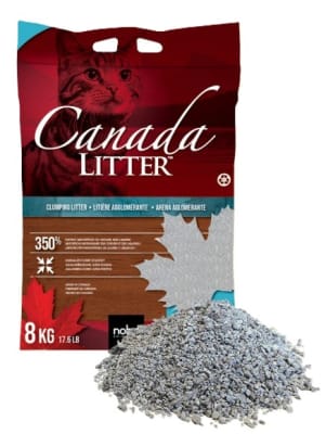 ARENA SANITARIA CANADA LITTER TALCO DE BEBE 8 KG1
