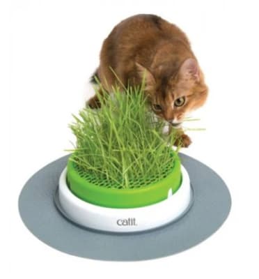 CATIT SENSES 2.0 GERMINADOR DE PASTO
