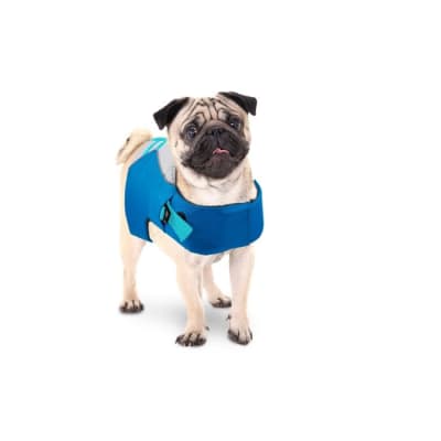 AFP CHILL OUT DOG LIFEJACKET (SALVAVIDAS)1
