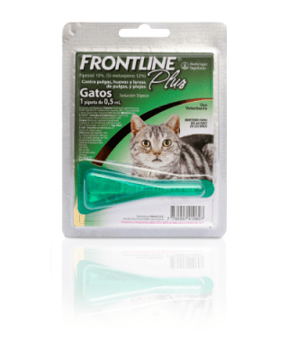 FRONTLINE PLUS GATO1