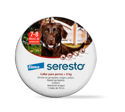 SERESTO COLLAR PERROS SOBRE 8 KG1