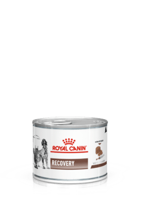ROYAL CANIN LATA RECOVERY 145 GRS