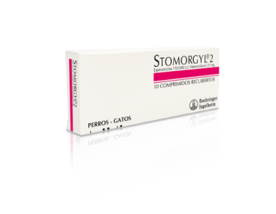 STOMORGYL 2 - 10 COMPRIMIDOS