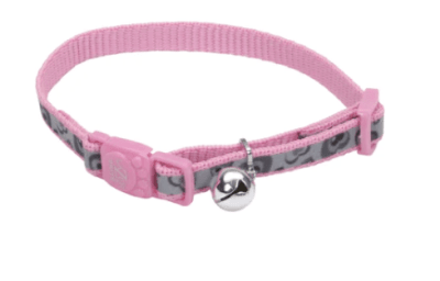 COASTAL COLLAR GATO LAZER BRITE