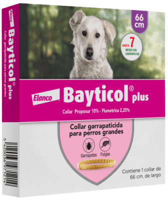 BAYTICOL COLLAR 66 CM