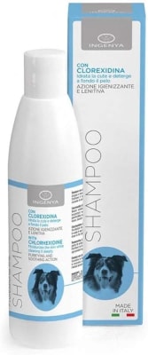 SHAMPOO CLORHEXIDINA INGENYA 250 ML1