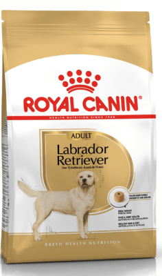 ROYAL CANIN LABRADOR RETRIEVER 12 KG1