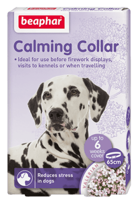 CALMING COLLAR PERRO1