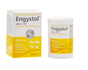 ENGYSTOL 100 TABLETAS