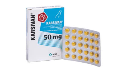 KARSIVAN 60 COMPRIMIDOS 50 MG