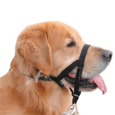 MASCAN CABESTRO ANTI TIRONES