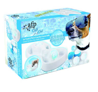 AFP CHILL OUT PISTA DE HIELO1