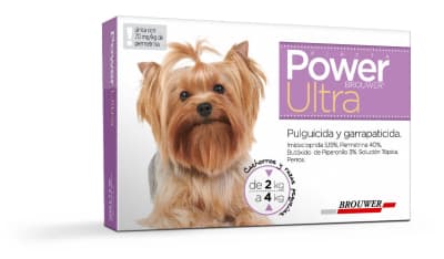POWER ULTRA 2-4 KG