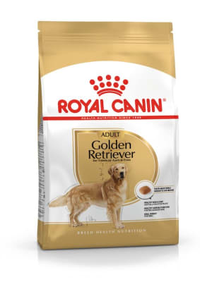 ROYAL CANIN GOLDEN RETRIEVER ADULTO 12 KG