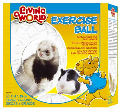 LIVING WORLD BOLA EJERCICIOS1
