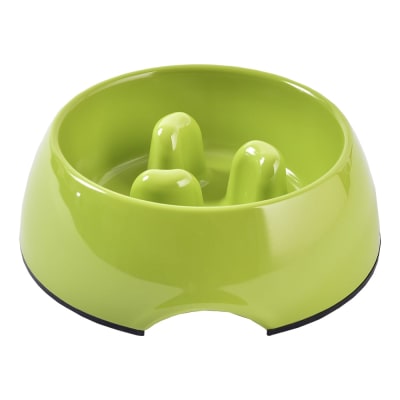 MASCAN PLATO COME LENTO MEDIUM VERDE1