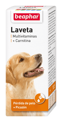LAVETA CARNITINA 50 ML1
