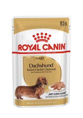 ROYAL CANIN POUCH DACHSHUND ADULTO 85 GRS