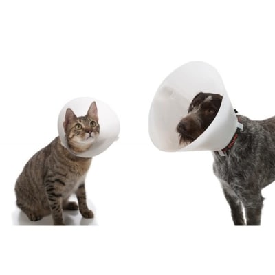 COLLAR ISABELINO BUSTER1