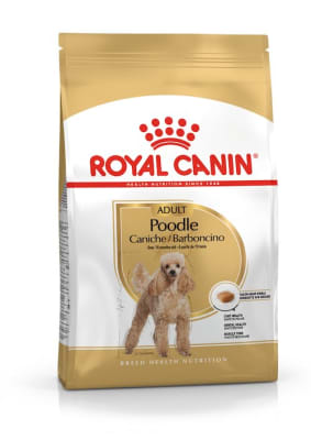ROYAL CANIN POODLE ADULTO1