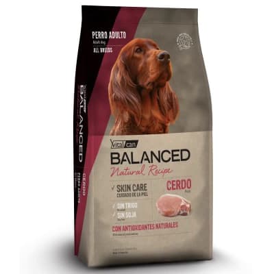 VITALCAN BALANCED PERRO ADULTO CERDO 15 KG1