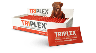 TRIPLEX 4 COMPRIMIDOS1