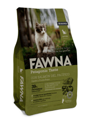 FAWNA GATO KITTEN 1 KG1