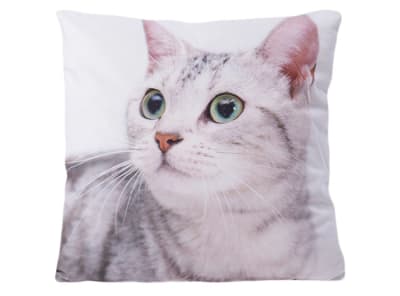 DIB COJIN ANIMALES IMAGEN GATO BLANCO