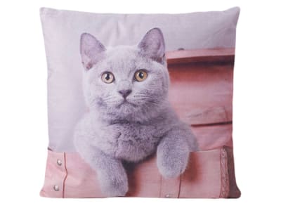 DIB COJIN ANIMALES IMAGEN GATO GRIS