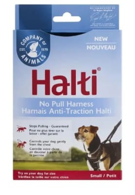 COMPANY OF ANIMALS HALTI HARNESS