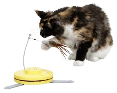 KERBL CATCH THE TAILFEATHER1