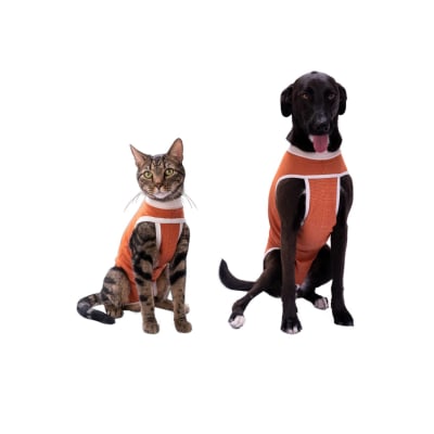 KIMBA VET BODY COBRE TRADICIONAL