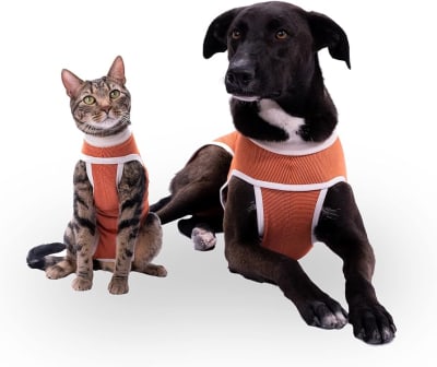 KIMBA VET BODY COBRE CASTRACION