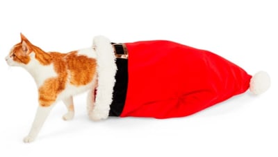 HOLIDAY TAILS TUNEL GORRO NAVIDEÑO