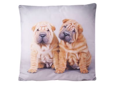 DIB COJIN ANIMALES IMAGEN PERRO SHAR PEI