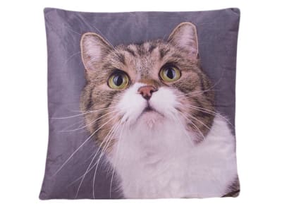 DIB COJIN ANIMALES IMAGEN GATO TRICOLOR