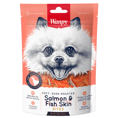 WANPY PERRO SALMON & FISH SKIN 100 GRS