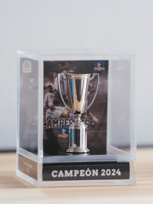 Replica Campeonato Nacional Colo Colo 34 Estrellas Acrilic Box 6 cms