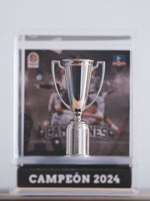 Replica Campeonato Nacional Colo Colo 34 Estrellas Acrilic Box 6 cms