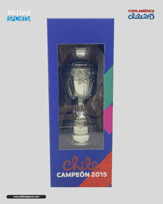 Copa América 12 CM 2015