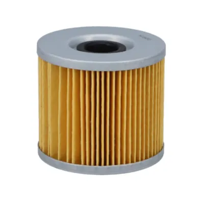 Filtro de Aceite Suzuki GS500 BMW R1200 GS Hibari1