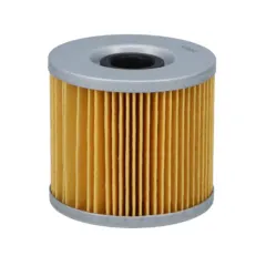 Filtro de Aceite Suzuki GS500 BMW R1200 GS Hibari