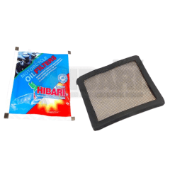 Filtro Malla de Aceite Yamaha XTZ125 YBR125 Hibari