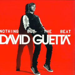 David Guetta Nothing But The Beat Vinilo