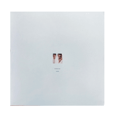 Pet Shop Boys Please Vinilo